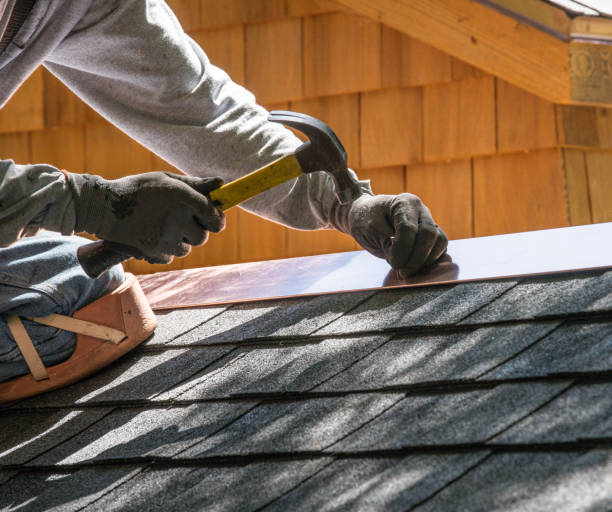 Best Local Roofing Companies  in Silver Firs, WA